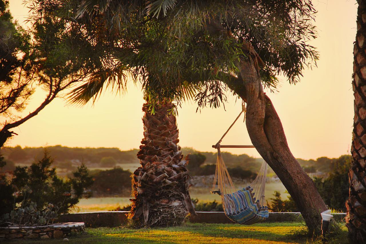 Skarmoutsos Studios Plage d'Aliko Extérieur photo