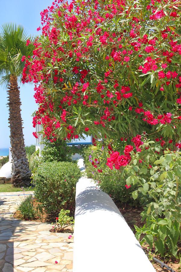 Skarmoutsos Studios Plage d'Aliko Extérieur photo