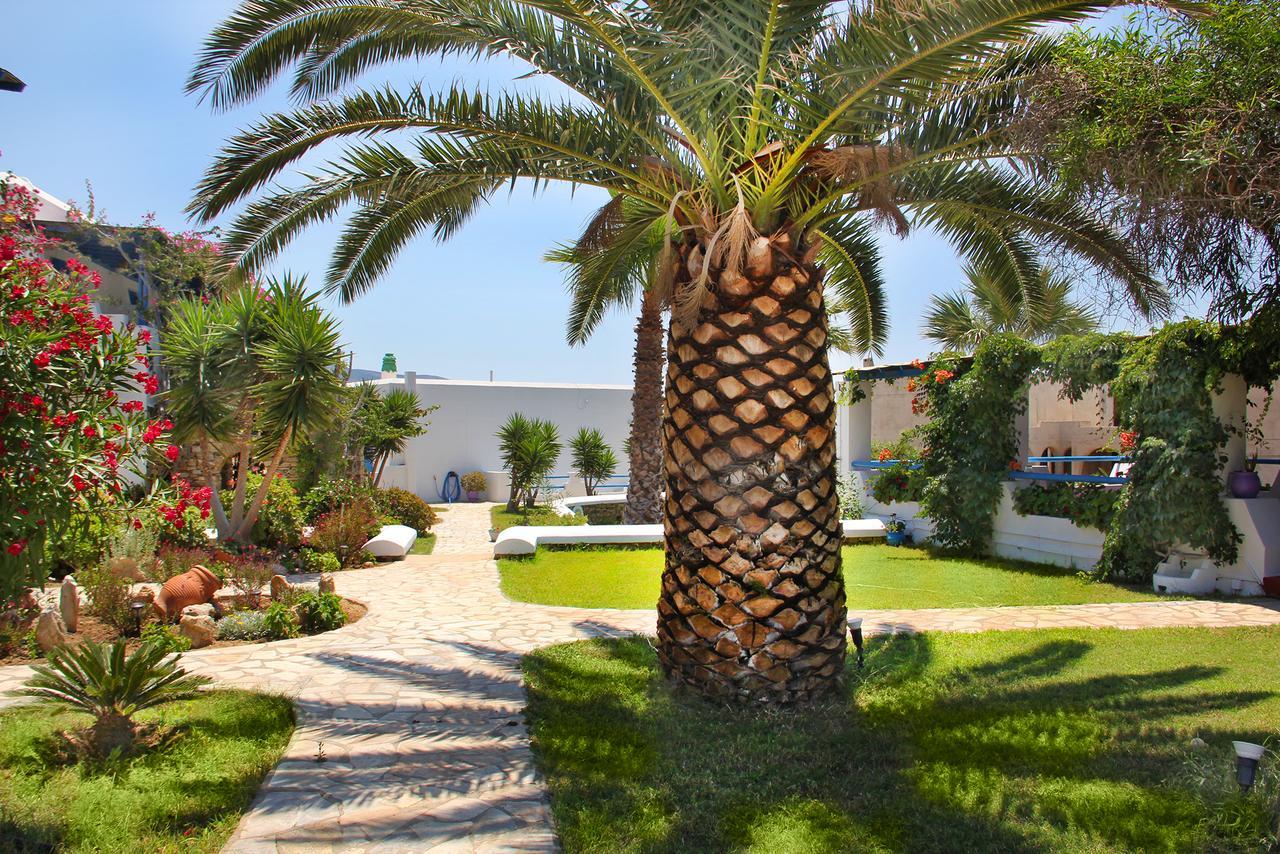 Skarmoutsos Studios Plage d'Aliko Extérieur photo