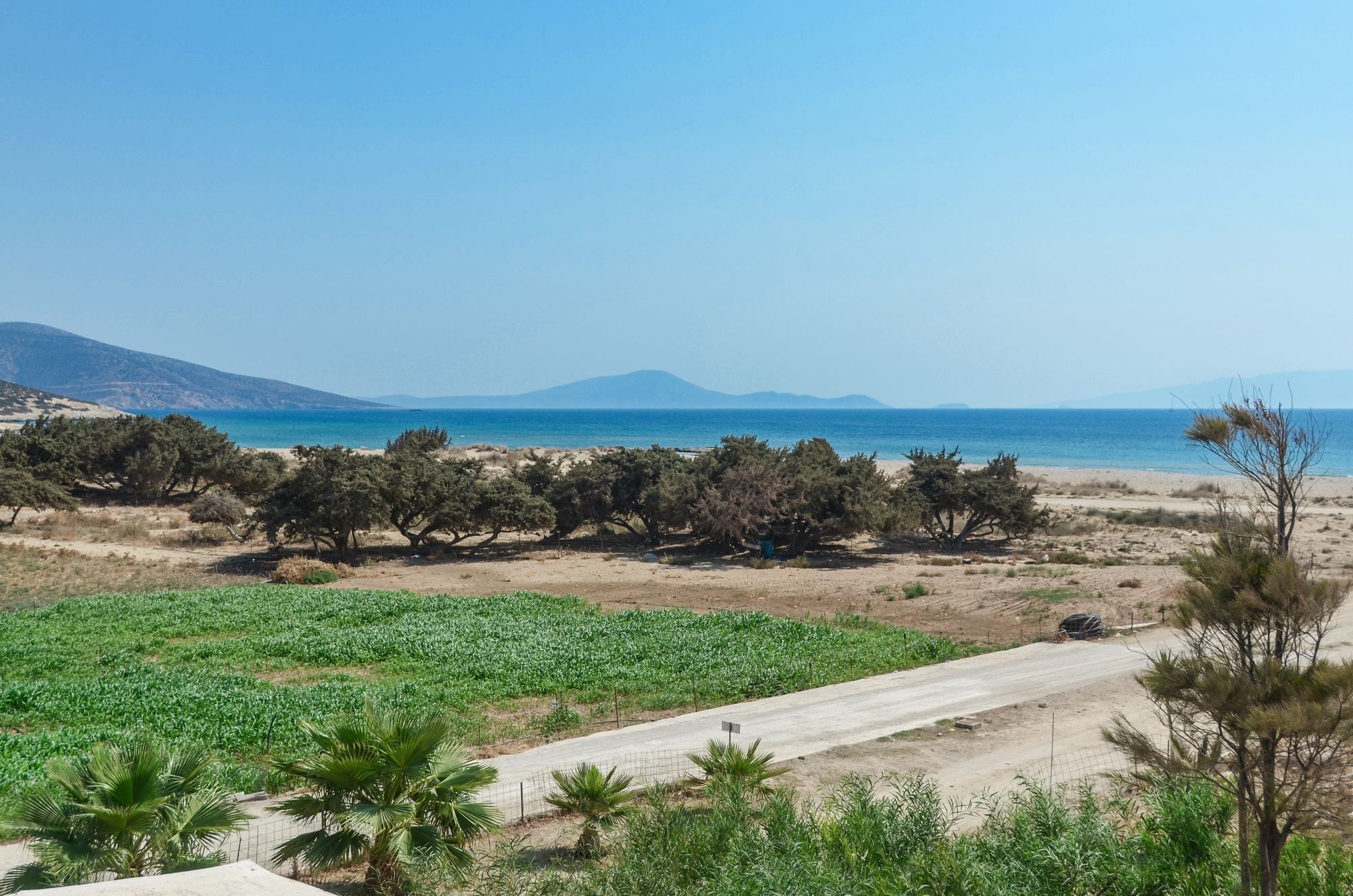Skarmoutsos Studios Plage d'Aliko Extérieur photo