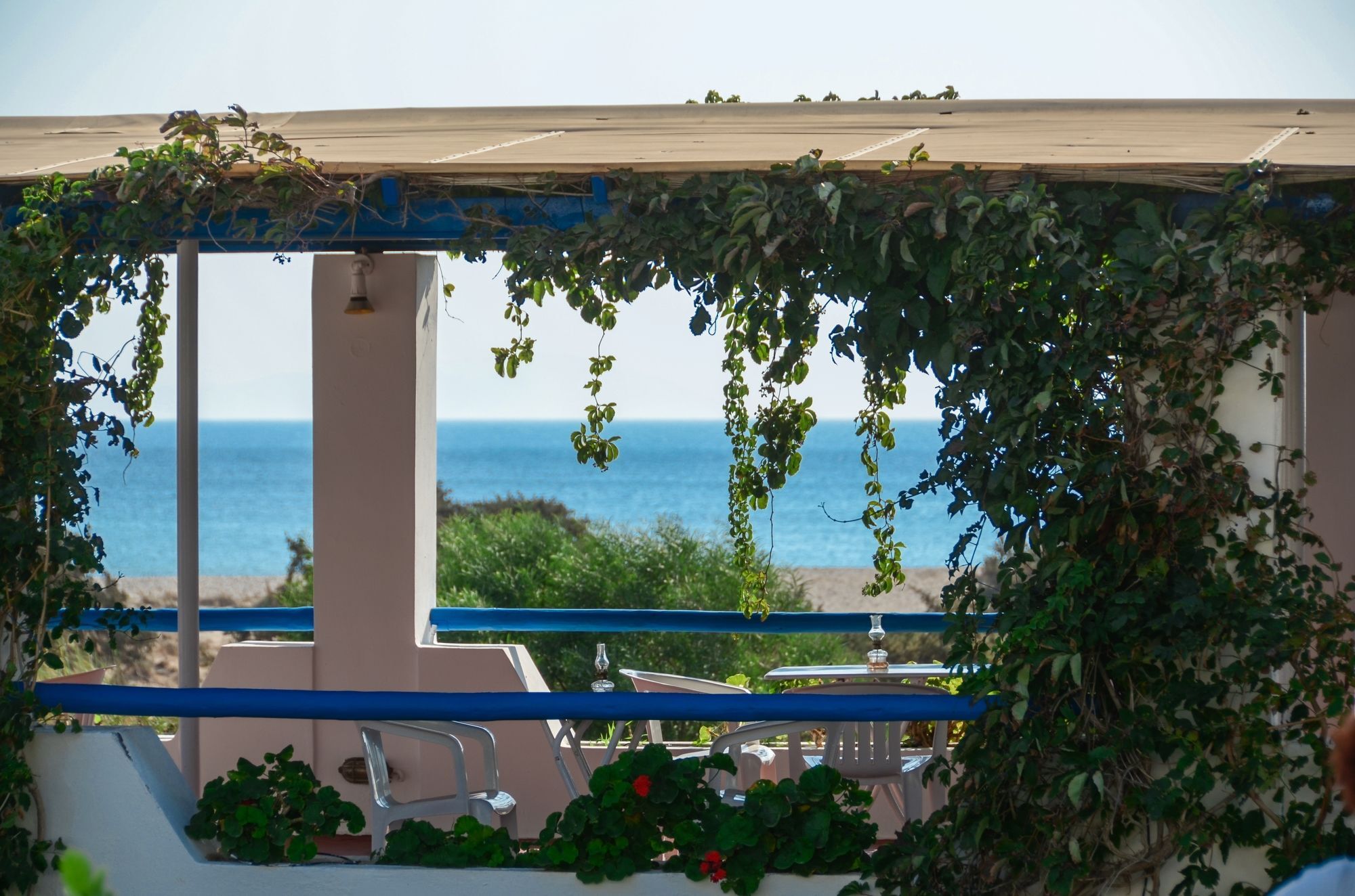 Skarmoutsos Studios Plage d'Aliko Extérieur photo