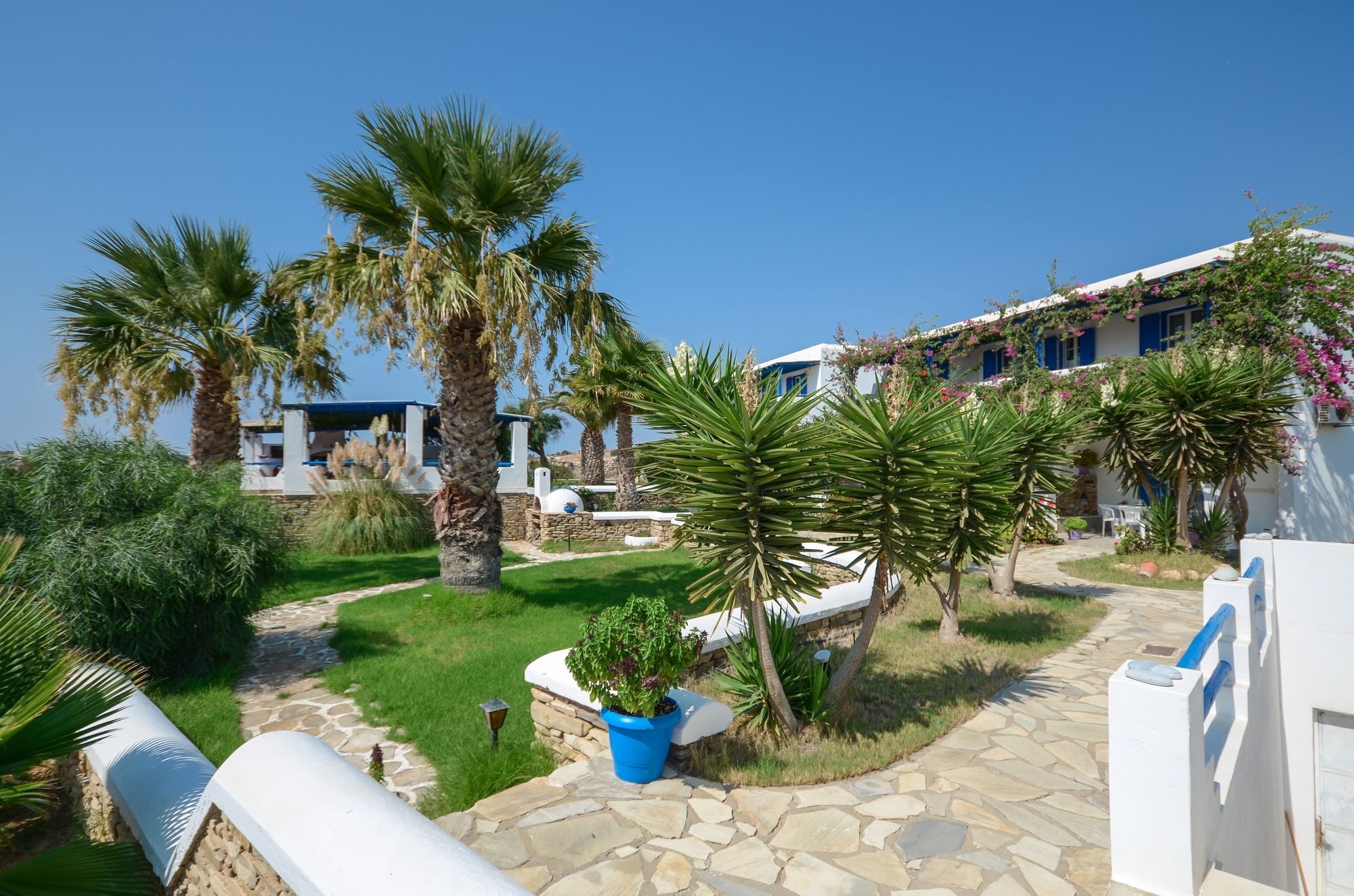 Skarmoutsos Studios Plage d'Aliko Extérieur photo